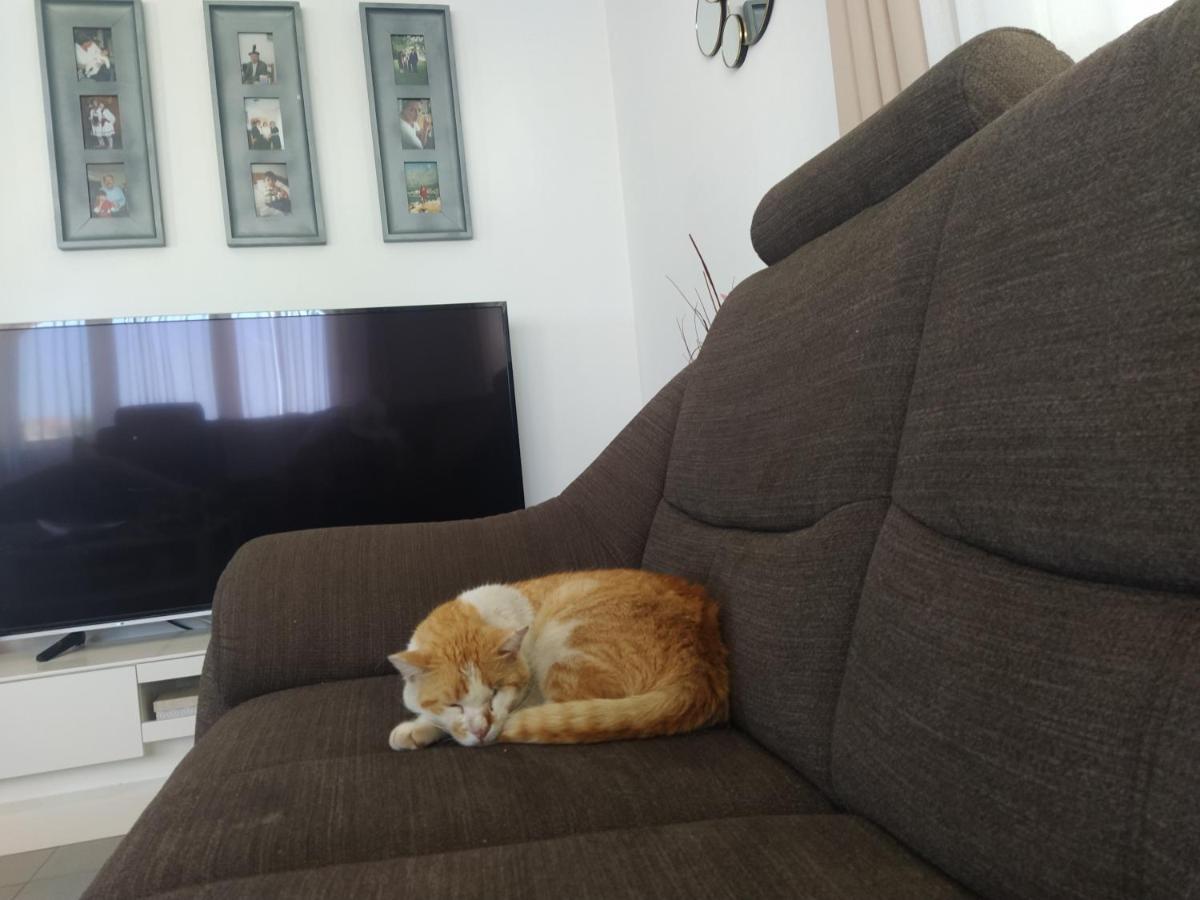 Apartment Juric Trogir Dış mekan fotoğraf